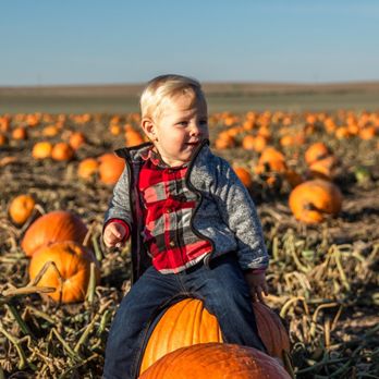 Bloomsbury Farm - Attraction Farms Near Me - Atkins, Iowa Bloomsbury Farm - Attraction Farms Near Me - Atkins, Iowa