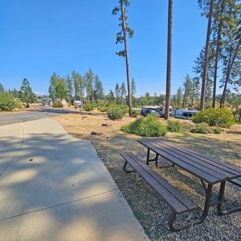 Pine Ridge Park And Mini Storage - RV Parks Near Me - Paradise, California Pine Ridge Park And Mini Storage - RV Parks Near Me - Paradise, California