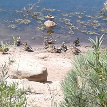 Spooner Lake Trailhead - Duckies. - Hiking Near Me - Carson City, Nevada Spooner Lake Trailhead - Duckies. - Hiking Near Me - Carson City, Nevada