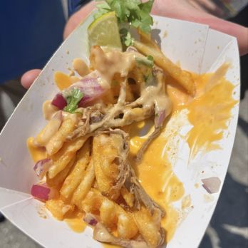 Taste of Buffalo - Birria waffle fries from DA Taste. Sauce had a bit of a kick to it. - Festivals Near Me - Buffalo, New York