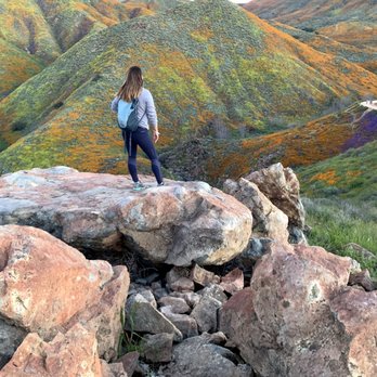 Walker Canyon Ecological Reserve - Wildlife Hunting Ranges Near Me