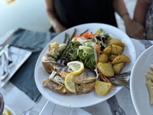 Amalfi Cucina Italiana - San Marcos by null