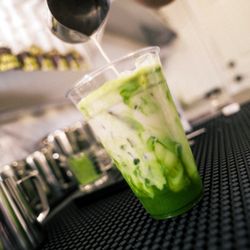 Elk Dog Coffee - Organic matcha latte