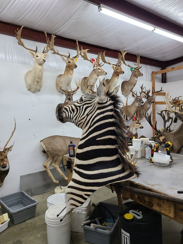 Killian's Meat Market, Deer Processing and Taxidermy, Hempstead