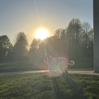 Batavia Bark Park - Pets Near Me - Batavia, Illinois