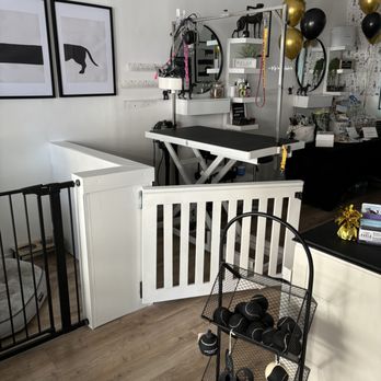 Pawfectly Groomed Doggy Spa - Pet Groomers Near Me - Windsor, Ontario Pawfectly Groomed Doggy Spa - Pet Groomers Near Me - Windsor, Ontario