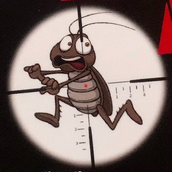 Sniper Pest Control - Pest Control Near Me - Brooklyn, New York