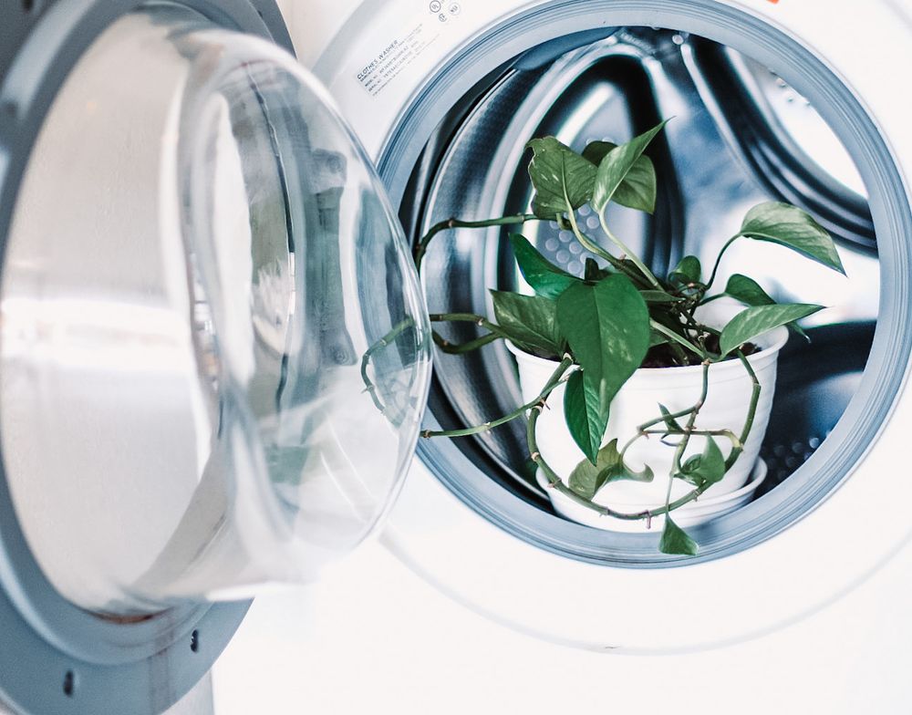 WASH 101 ECO FRIENDLY DRY CLEANERS & LAUNDRY Updated May 2024 19 Photos & 26 Reviews 437