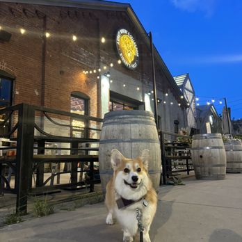 Bigsby's Folly - Dog friendly patio - Wineries Near Me - Denver, Colorado