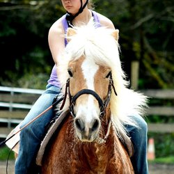 Pets Galore Horse Rides