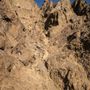 Photo of Bashful Peak