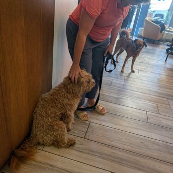 Picky Barista - Coffee & Tea Near Me - New York, New York Picky Barista - Coffee & Tea Near Me - New York, New York