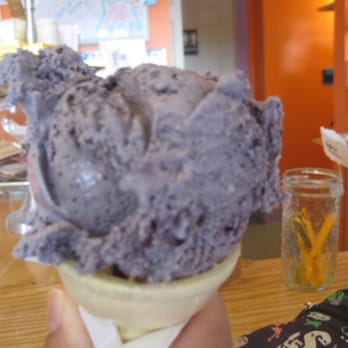 Mortons Moo Homemade Ice Cream - Maine Blueberry - Ice Cream & Frozen Yogurt Near Me - Ellsworth, Maine Mortons Moo Homemade Ice Cream - Maine Blueberry - Ice Cream & Frozen Yogurt Near Me - Ellsworth, Maine