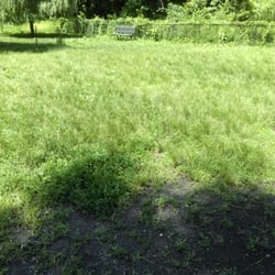 Van Cortlandt Park Dog Run - Canine Court - Not maintained, grass is high, broken fence doors