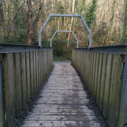 Knocksink Wood