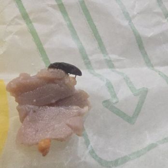 Subway - A small coach roach in my sub from this restaurant - Sandwiches Near Me - Coalinga, California Subway - A small coach roach in my sub from this restaurant - Sandwiches Near Me - Coalinga, California