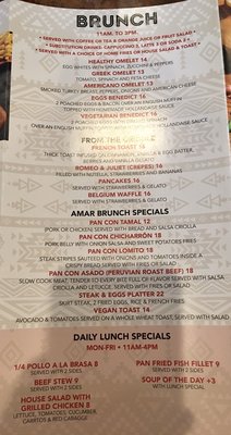 Menu photo 3 Amar Peruvian Kitchen Forest Hills, NY