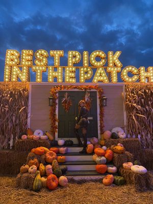 Jack's Pumpkin Pop-up by null
