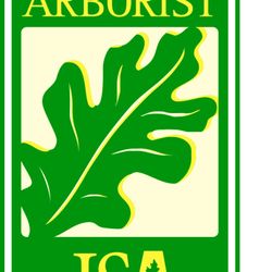 Arboleros Arbor Care