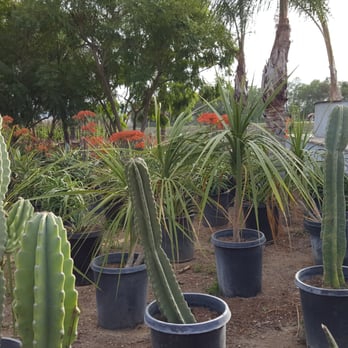 Sterling Gardens Nursery - Nurseries & Gardening Near Me - Simi Valley, California Sterling Gardens Nursery - Nurseries & Gardening Near Me - Simi Valley, California