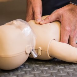 Pelican CPR and Skills Training