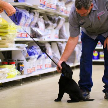 Rural King - a man and a dog in a store - Home & Garden Near Me - Benton, Illinois