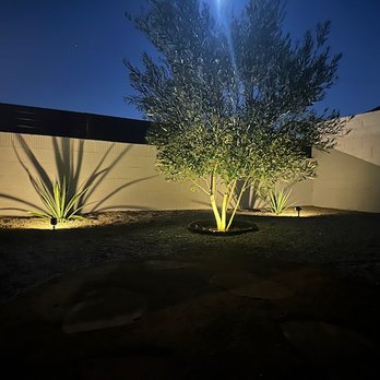 Evergreen Gardening Service - Gravel, Flagstone, Agave, Olive tree - Landscaping Near Me Evergreen Gardening Service - Gravel, Flagstone, Agave, Olive tree - Landscaping Near Me
