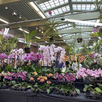 Orchids In The Park - Festivals Near Me - San Francisco, California Orchids In The Park - Festivals Near Me - San Francisco, California