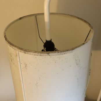 Summercamp Hotel - Mold on lampshade - Hotels Near Me - Oak Bluffs, Massachusetts