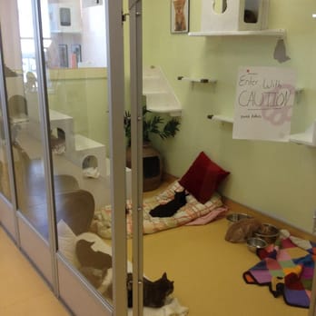 Animalkind - Animal Shelters Near Me - Hudson, New York Animalkind - Animal Shelters Near Me - Hudson, New York