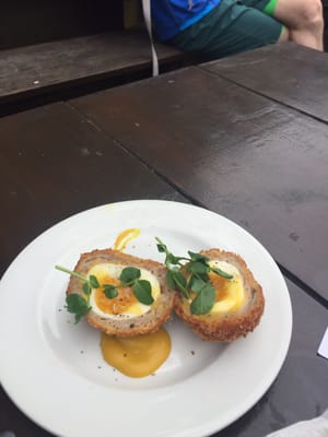 The Stag Belsize Park by null