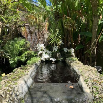 Naples Botanical Garden - Orchids area - Botanical Gardens Near Me - Naples, Florida