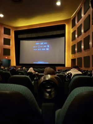 Riverview Theater by null