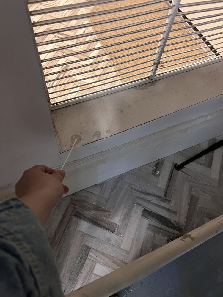 Mold Spotters - mold inspector in Lake Worth Beach, FL