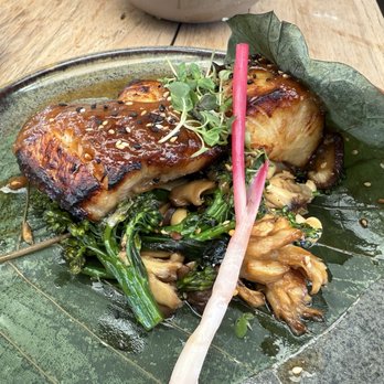 Watr at the 1 Rooftop - Miso black cod (not a fan of the sauce) - Japanese Near Me - Miami Beach, Florida Watr at the 1 Rooftop - Miso black cod (not a fan of the sauce) - Japanese Near Me - Miami Beach, Florida