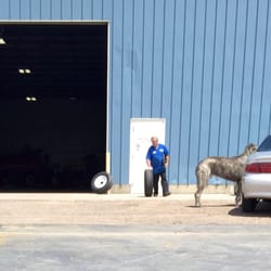 TLC Automotive & Towing - That dog is SUPER friendly!