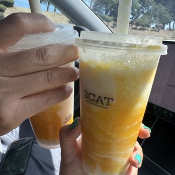 3Cat Handcrafted Beverage - Bubble Tea Near Me - San Gabriel, California