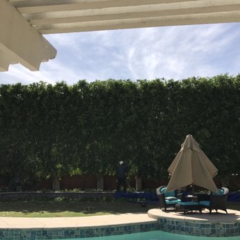 Vargas Tree Service - Tree Services Near Me - Anaheim, California Vargas Tree Service - Tree Services Near Me - Anaheim, California