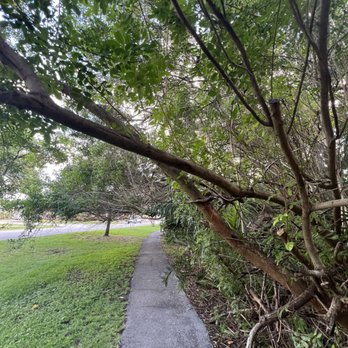 John B Kooser Park - Parks Near Me - Hollywood, Florida John B Kooser Park - Parks Near Me - Hollywood, Florida