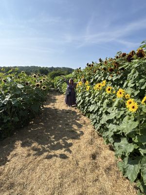 Billings Farm & Museum by null Billings Farm & Museum by null