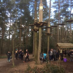 Alice Holt Woodland Park - Go-Ape