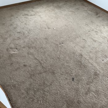 Gem Carpet Cleaning - Before 2nd bedroom - Pressure Washers Near Me Gem Carpet Cleaning - Before 2nd bedroom - Pressure Washers Near Me
