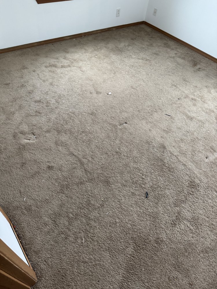 Gem Carpet Cleaning - veterans service organization in Lacey, WA