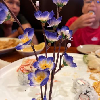 Fujiyama - Sitting area - Sushi Bars Near Me - Jacksonville, Florida Fujiyama - Sitting area - Sushi Bars Near Me - Jacksonville, Florida