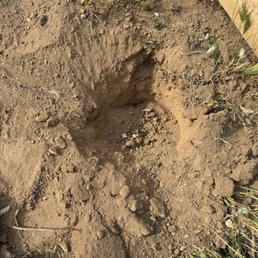 Auger didn't even finish digging a hole and I'm in the wrong?