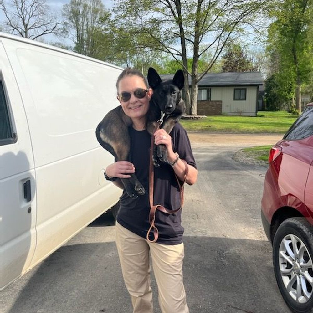 Tip Top K9 - I amnin training - Pet Training Near Me - Novi, Michigan Tip Top K9 - I amnin training - Pet Training Near Me - Novi, Michigan