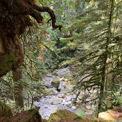 Cypress Falls Park - September 2026.
