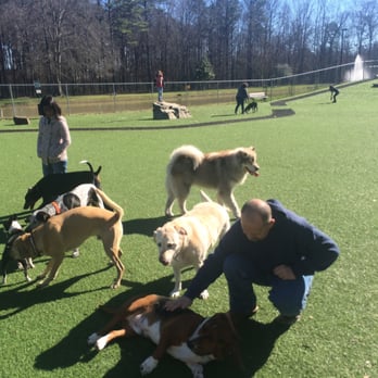 Veteran's Park - Alabaster - Veteran's Dream Dog Park - Playgrounds Near Me - Alabaster, Alabama