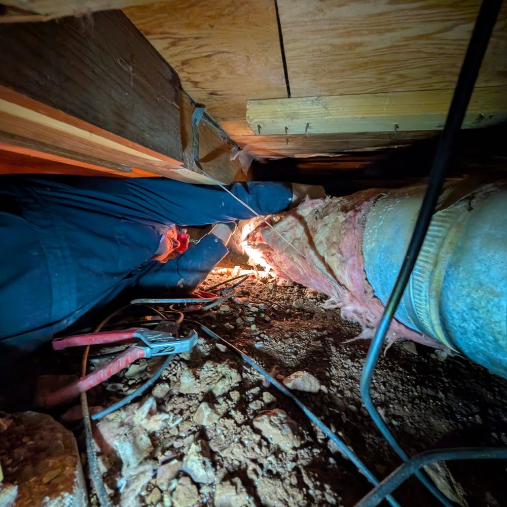Blue Wrench Plumbing - Replacing pipe that a rat had chewed through - Plumbing Near Me