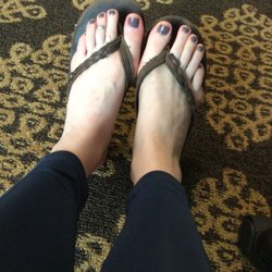Lacquered